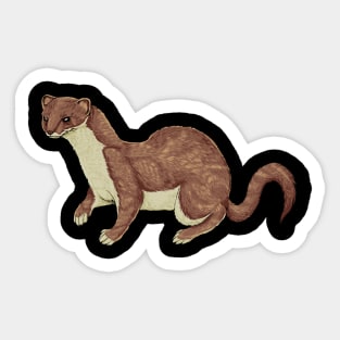 Color drawing of a stoat Sticker